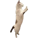 snowstand