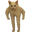 cat_sup Discord sticker | Real Eyes Realize Real Lies