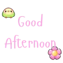 w_GoodAfternoon_PHZ_DNS