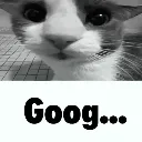 goog goog
