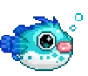 F2U_BluePufferfish