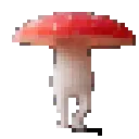 shroomdance