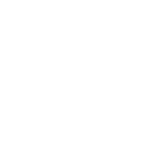 bullet_white