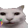cannycelebrar