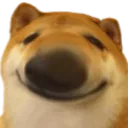 bruhdoge