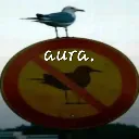 aura