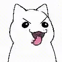 freakcat