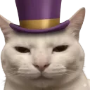 hat_cat