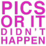 PicsOrItDidntHappen Discord Emoji from 𝑪𝒓𝒚𝒔𝒕𝒂𝒍 𝑴𝒊𝒏𝒆 18+