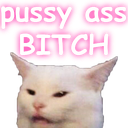 Pussy_ass_bitch_whitecat Discord Emoji | 𝑪𝒓𝒚𝒔𝒕𝒂𝒍 𝑴𝒊𝒏𝒆 18+