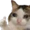 crythumbsup