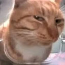 suscat Discord Emoji from Gaming Grid