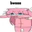 Bwa