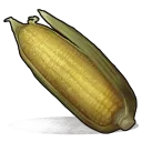Food_Corn