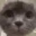ImJustLooking ImJustLooking