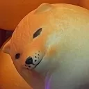dog_ball