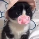 babby