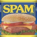Spam
