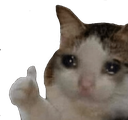 Meme_Sad_Cat_Thumbs_Up Discord Emoji from HaniCraft Community