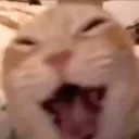 AAAAA