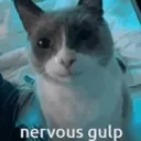 :nervous_gulp: :nervous_gulp: