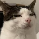 f97dcc1f4c7d2e4ceb47b57dc13060c1