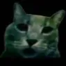 dimko dimko