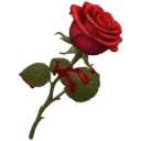bloodyrose