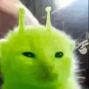 aliengato