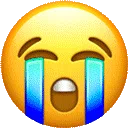 <a:partycry:1456041975626334208>