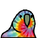 tiedyeparrot