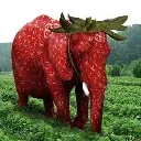 Strawberryelephant