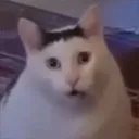HUH