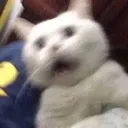 THEFUCKINVOICES
