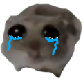 Discord Emote sz_hampter_cry: