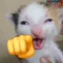 TEA_laugh