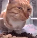 sideeyekibby