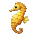 sea_horse
