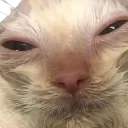 laurawhen laurawhen