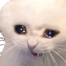 SAD