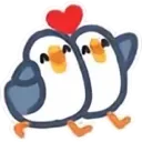 Gull_Friendly