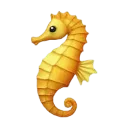 Seahorse
