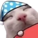 zzzz