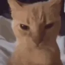 mad