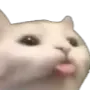 blep