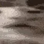 doc_20220726_0258163