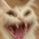 sp_adrian_laughing