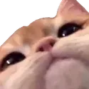 watchu_doing