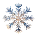 zsnow Discord sticker | Lemniscate Network