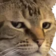 beta_stare beta_stare